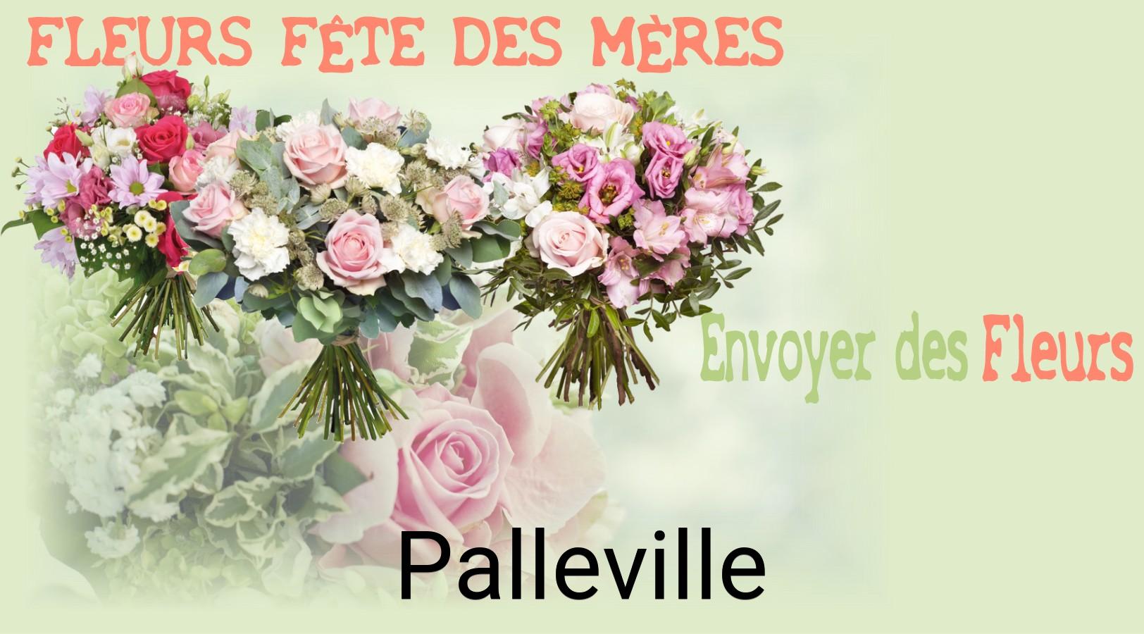 Bouquet de Fête des Mères livré à Palleville